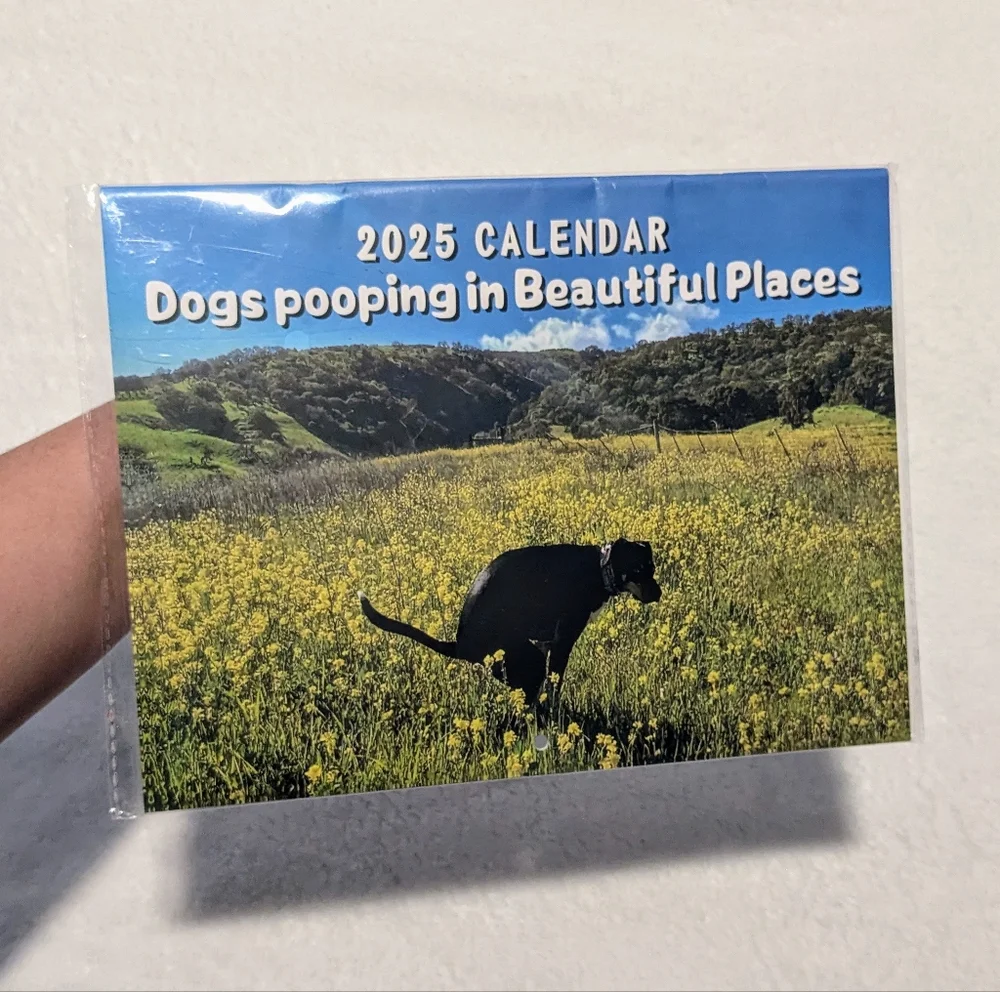 Dogs Pooping In Beautiful Places 2025 Calendar
